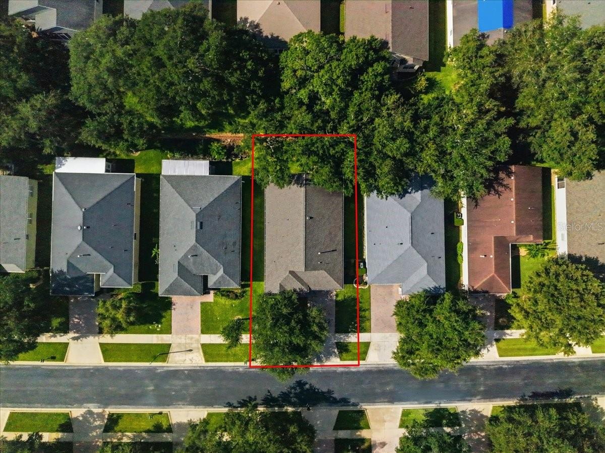 794 Wolf Creek St Property Photo 37