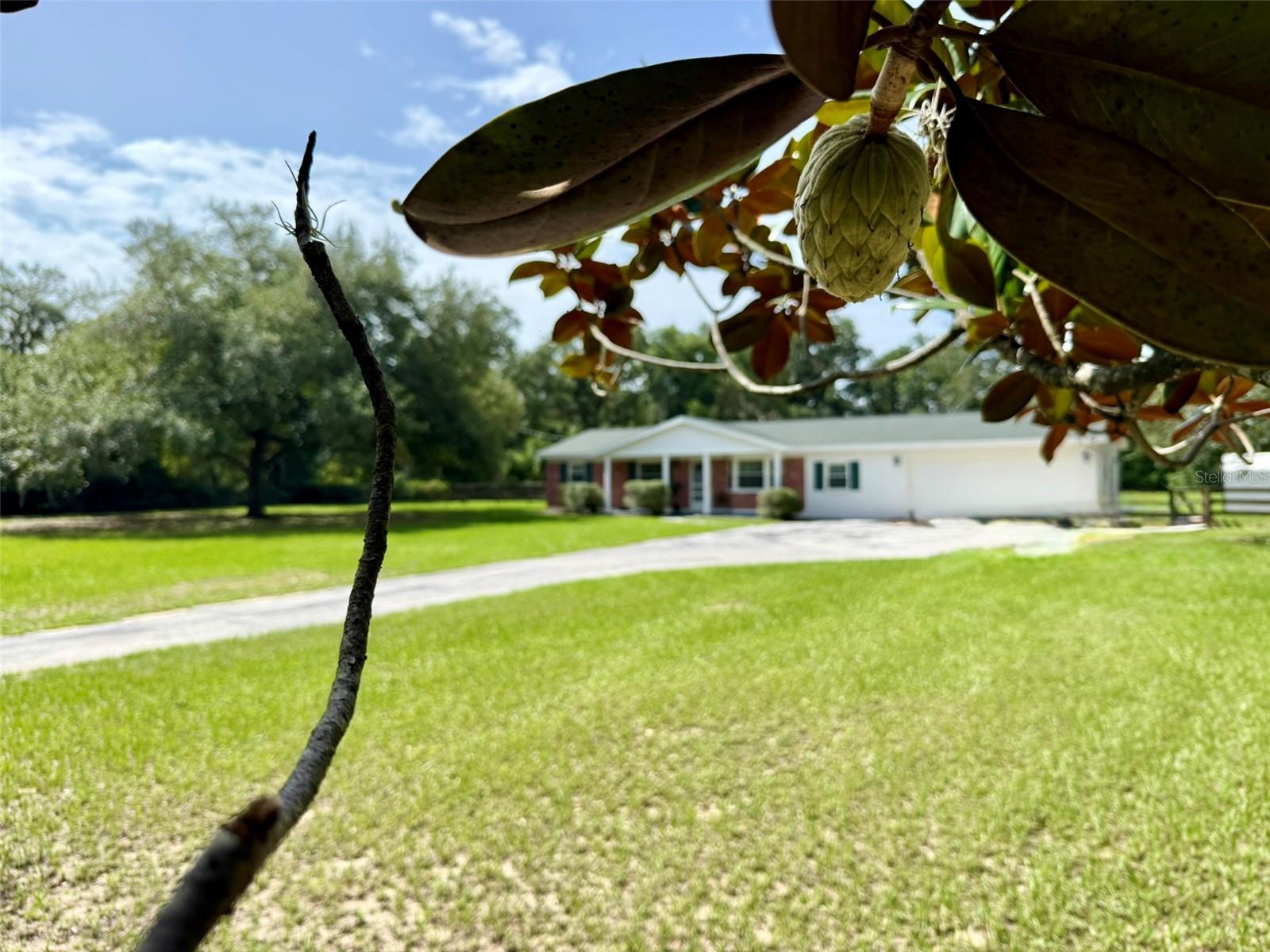 11215 Russell Dr Property Photo 3