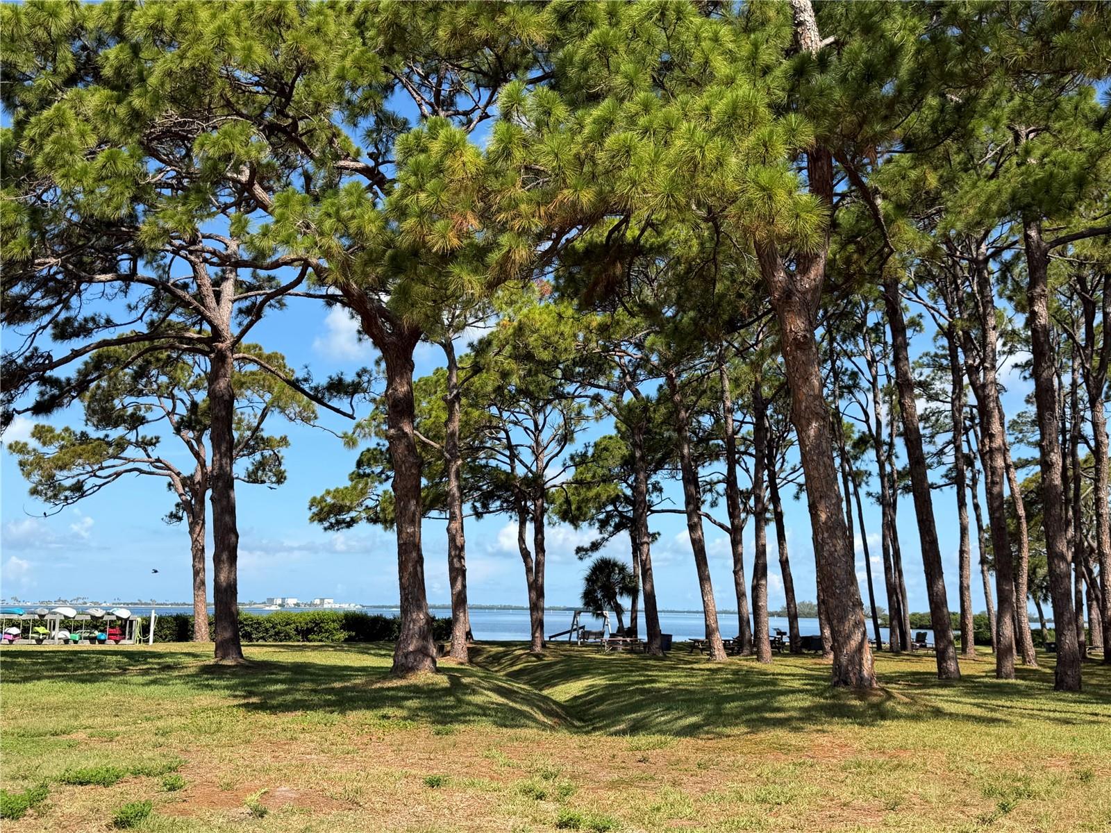 2700 Bayshore Blvd #2108 Property Photo 6