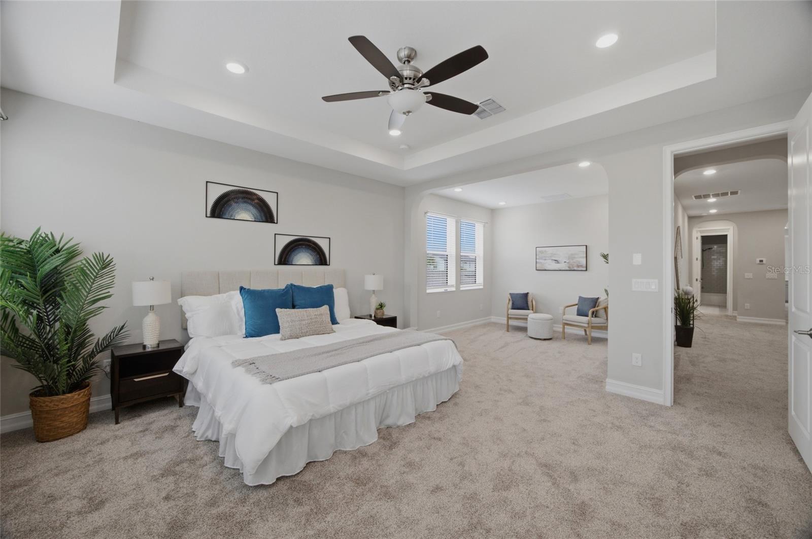 4667 San Martino Dr Property Photo 31