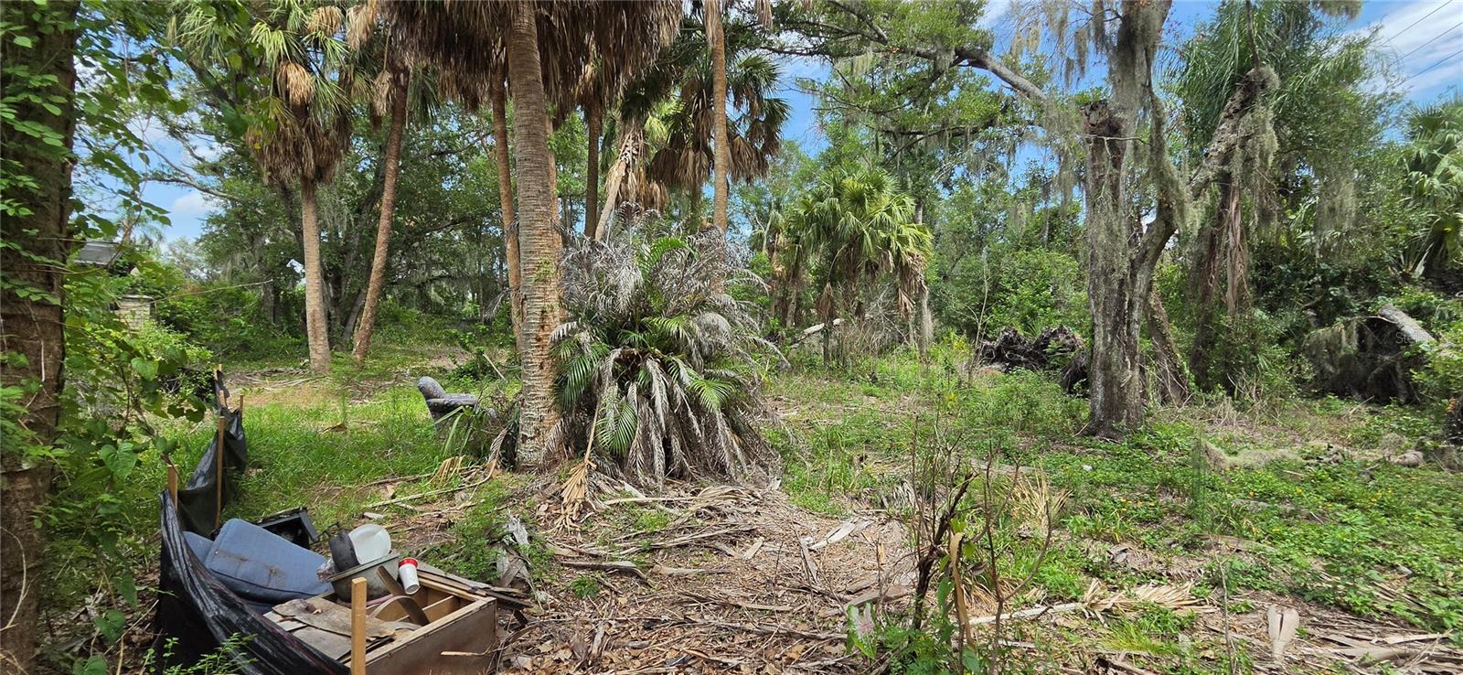 10901 Mcmullen Loop Property Photo 23