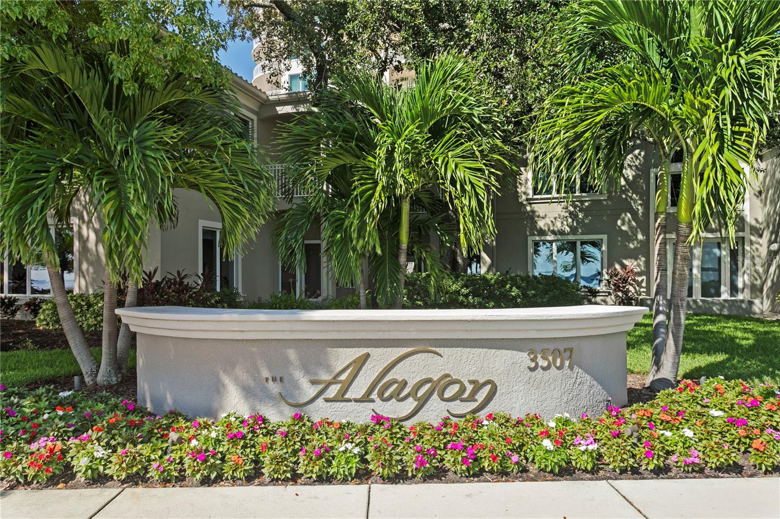 3507 Bayshore Blvd #102 Property Photo 3