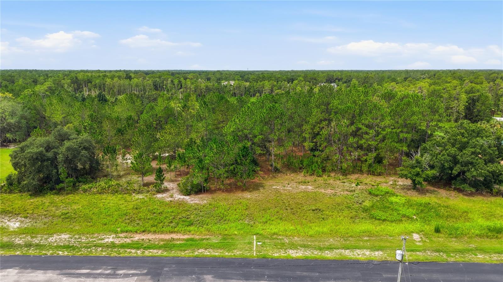 8616 Spring Forest Ln Property Photo 6
