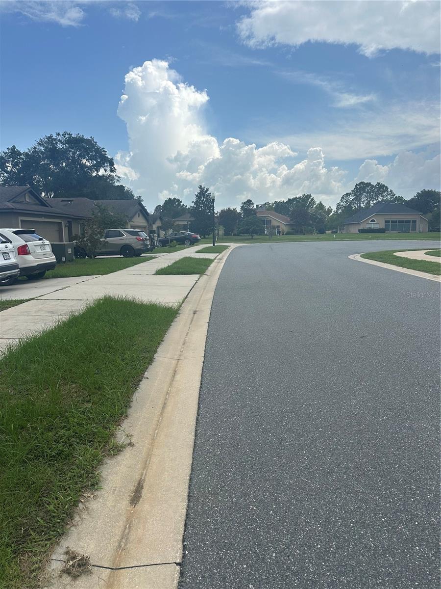 6900 Crested Orchid Dr Property Photo 15
