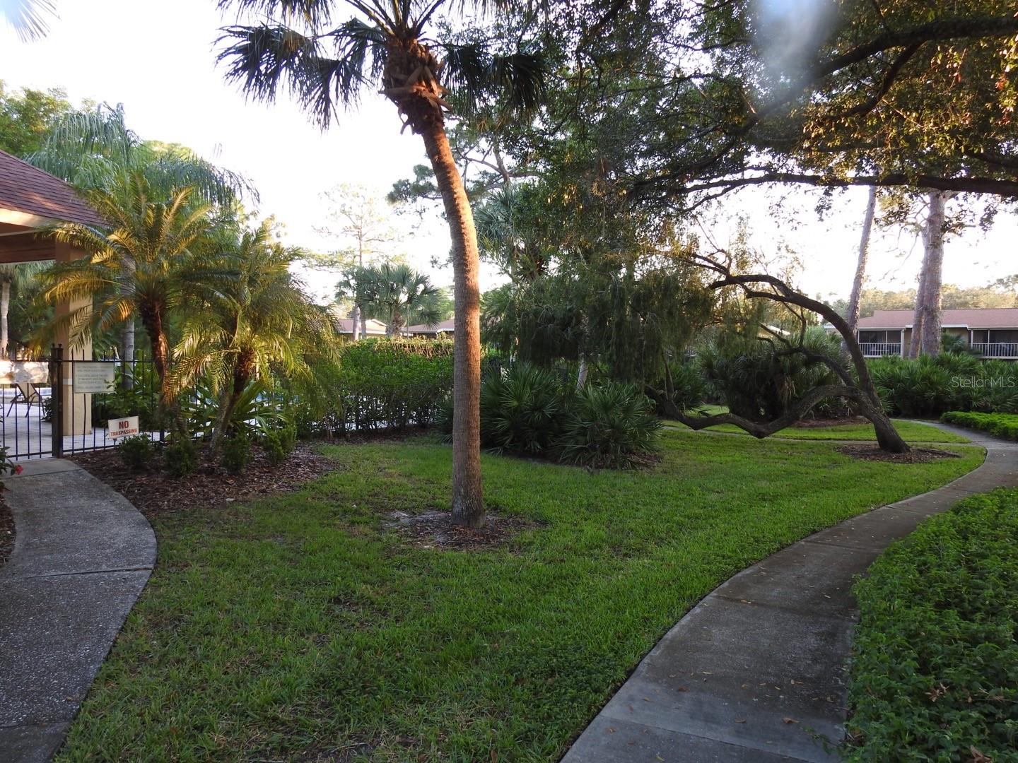 972 La Costa Cir #8 Property Photo 18