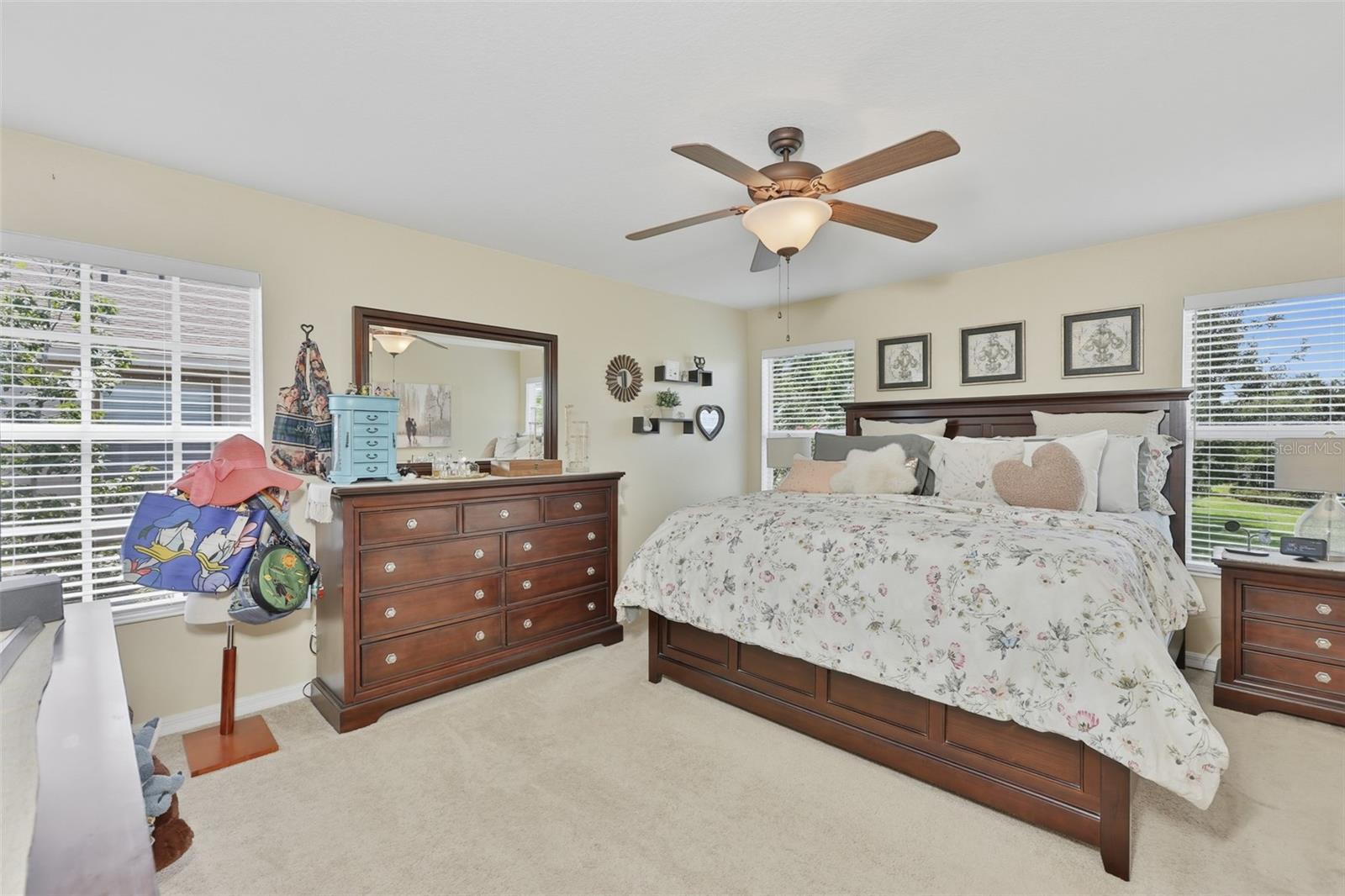 8718 Turnstone Haven Pl Property Photo 17