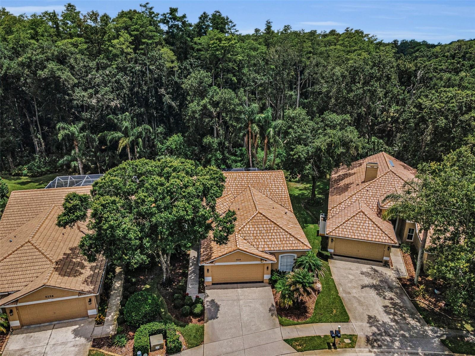 5250 Pinehurst Ct Property Photo 4