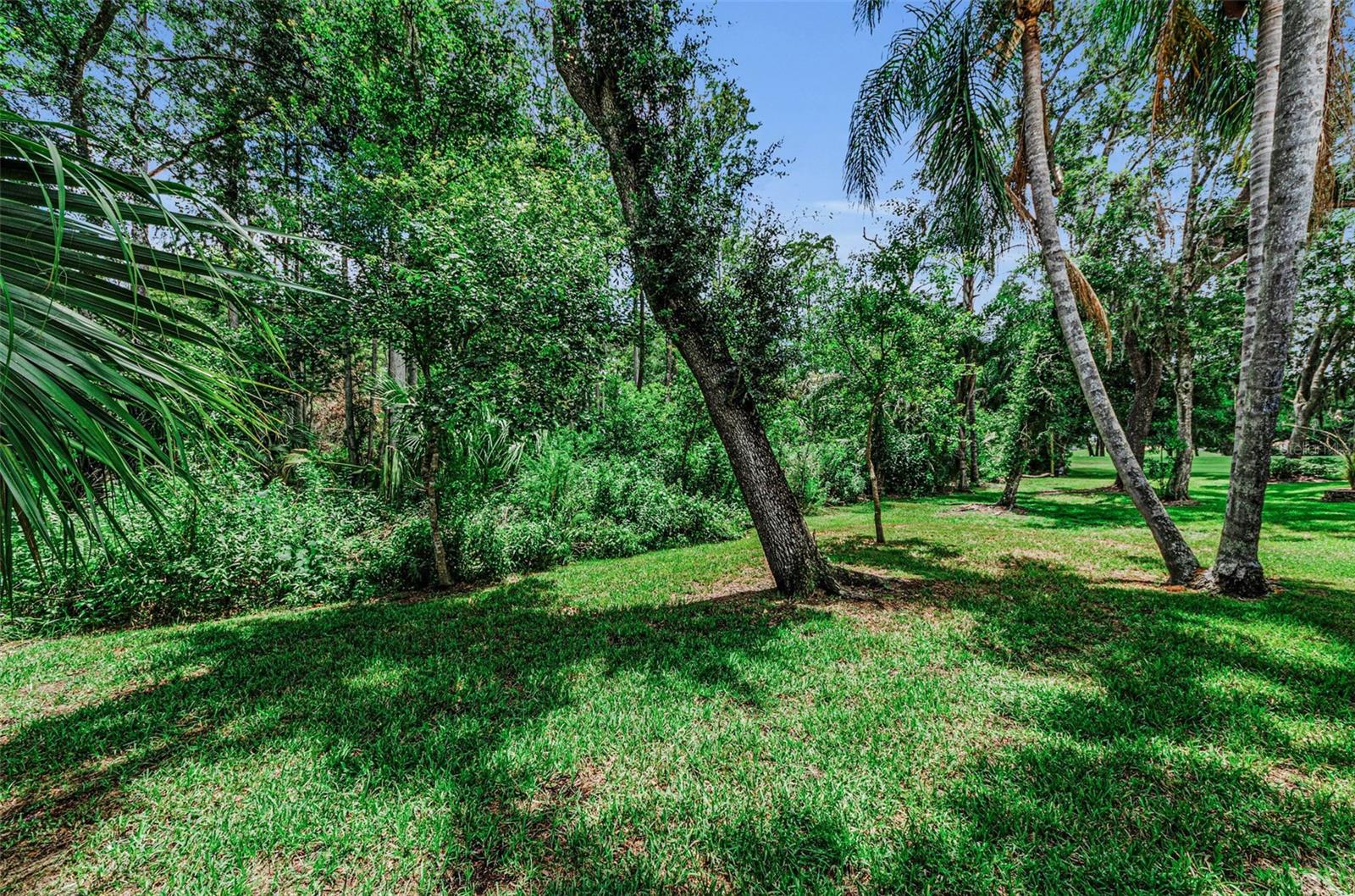 5250 Pinehurst Ct Property Photo 56