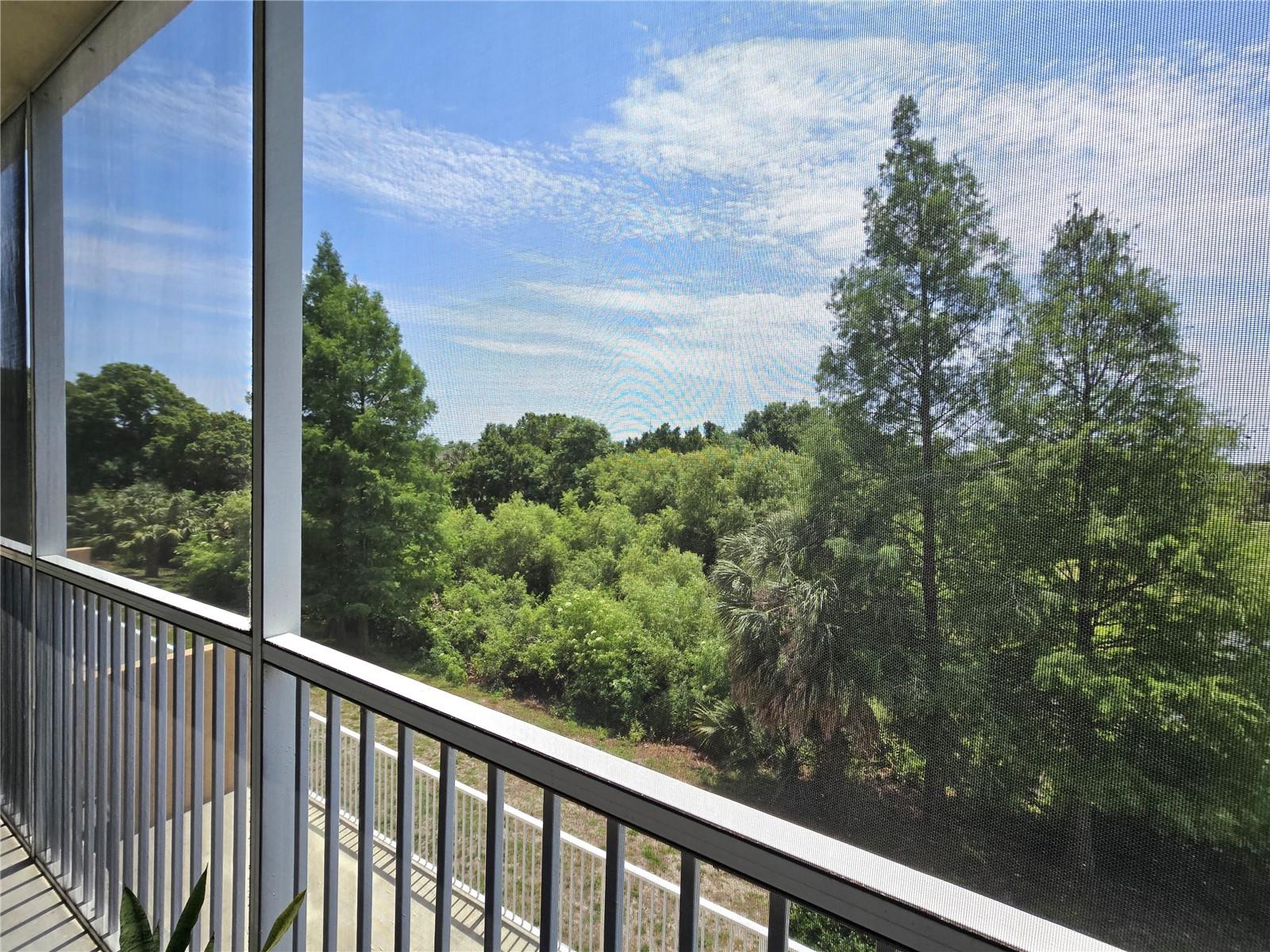 960 Starkey Rd #9206 Property Photo 53