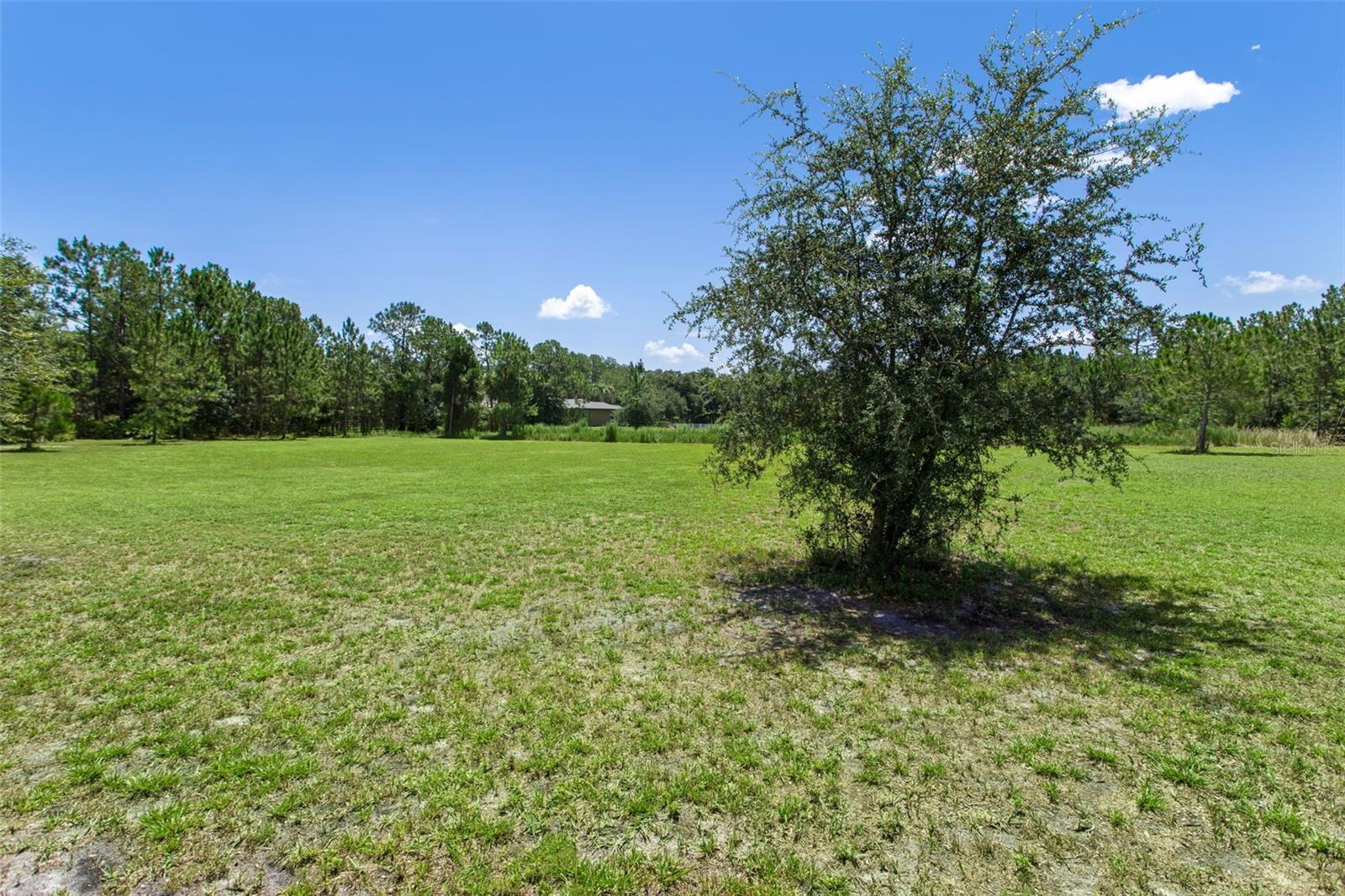 8408 Woodleaf Blvd Property Photo 50