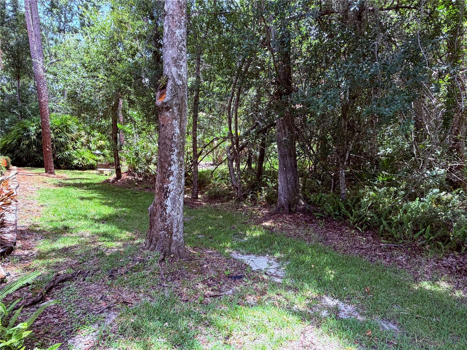 4244 Preserve Pl Property Photo 49