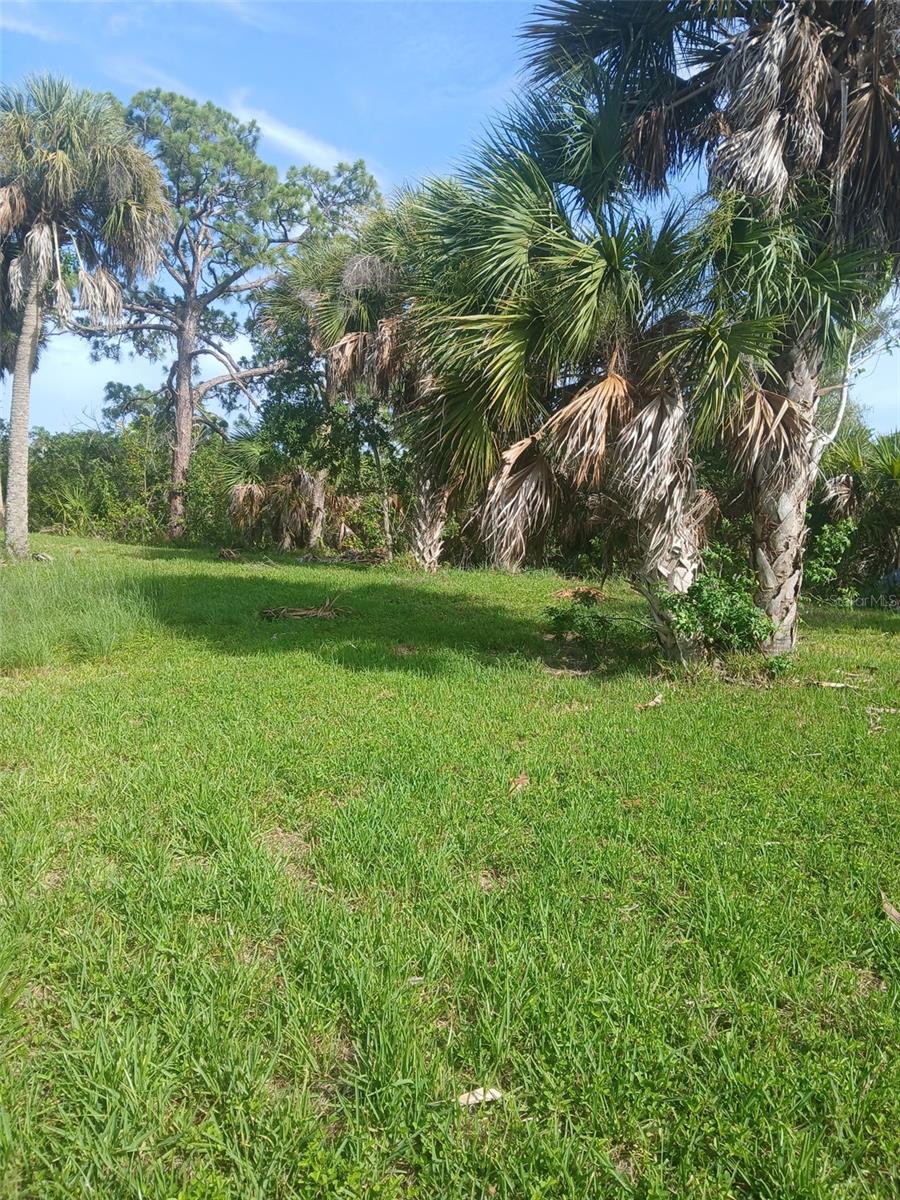 Hilolo Ln Property Photo 3