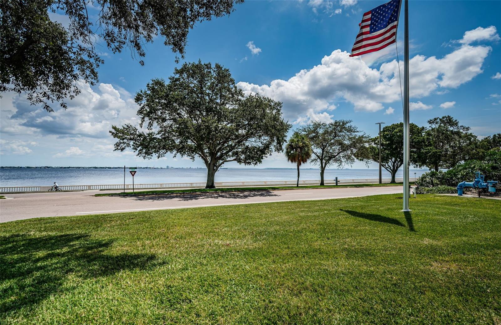 4015 Bayshore Blvd #4c Property Photo 39