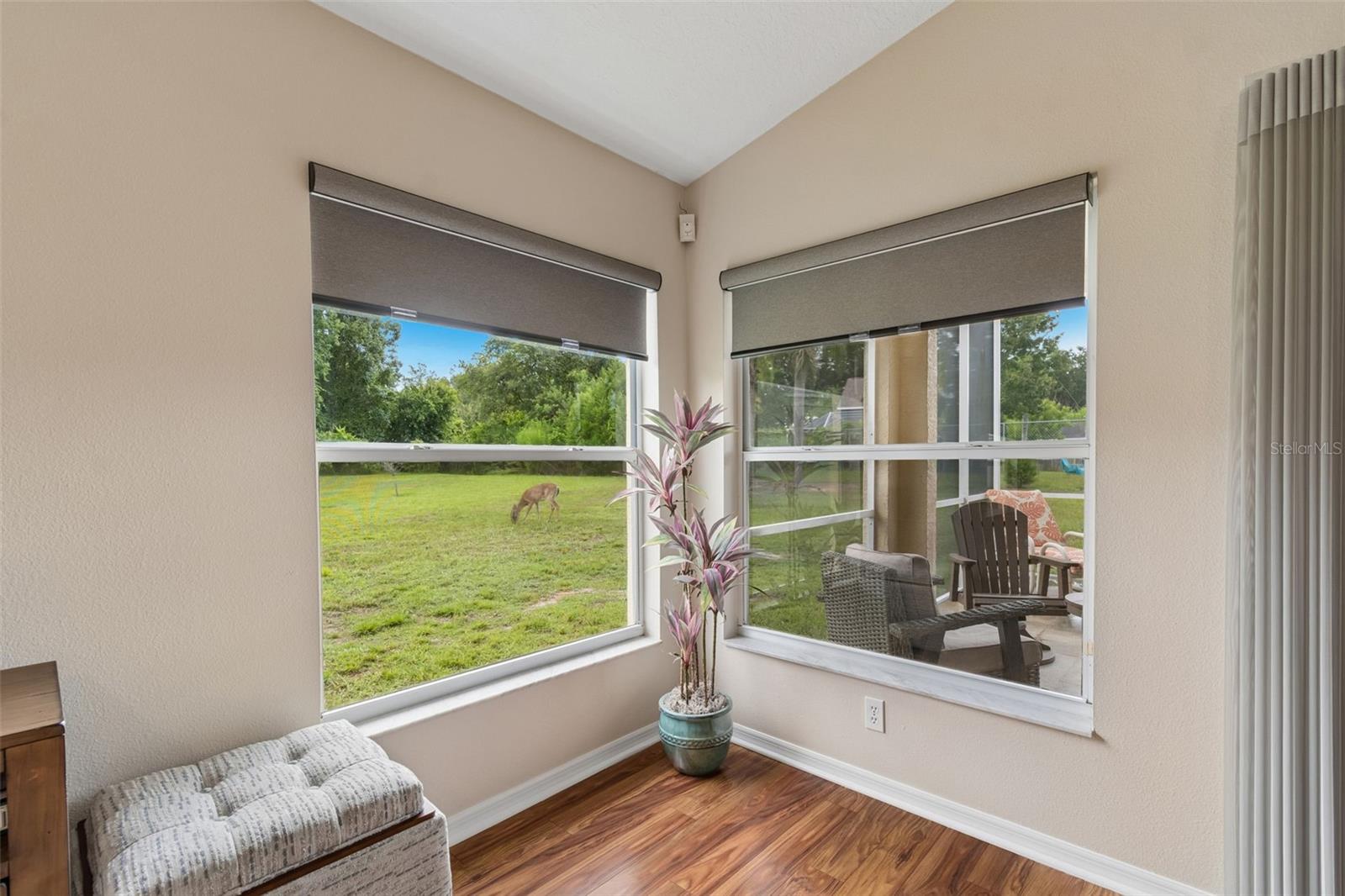 20942 Sunsweet Ct Property Photo 18