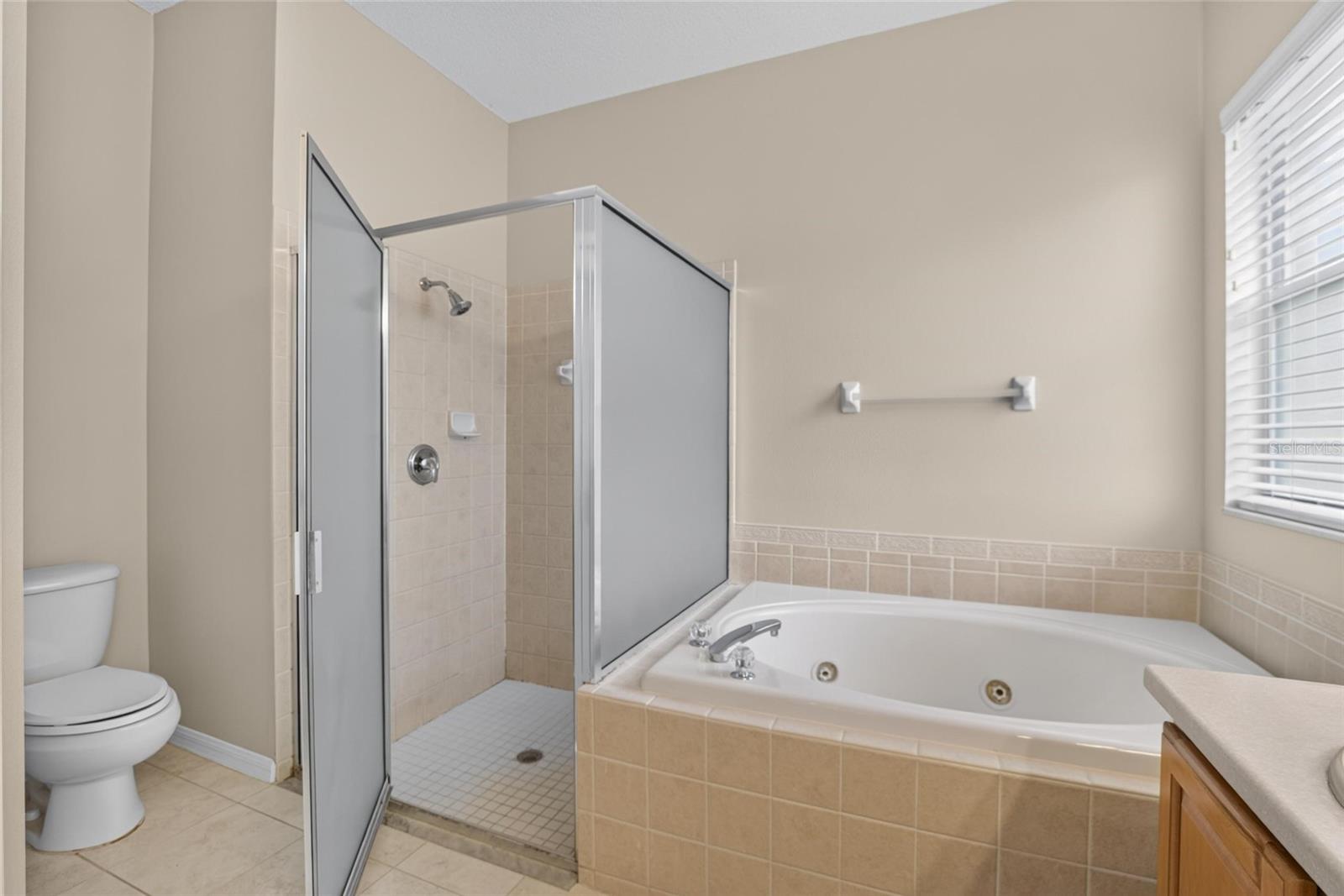 11339 Village Brook Dr Property Photo 43