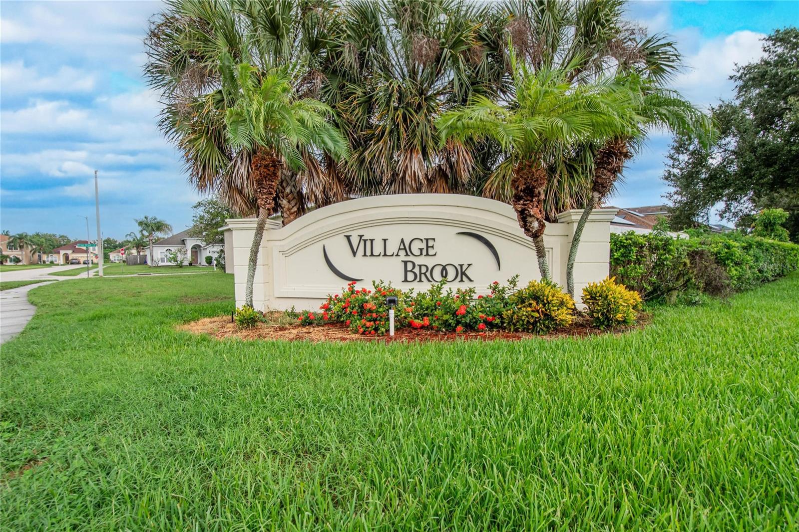 11339 Village Brook Dr Property Photo 57