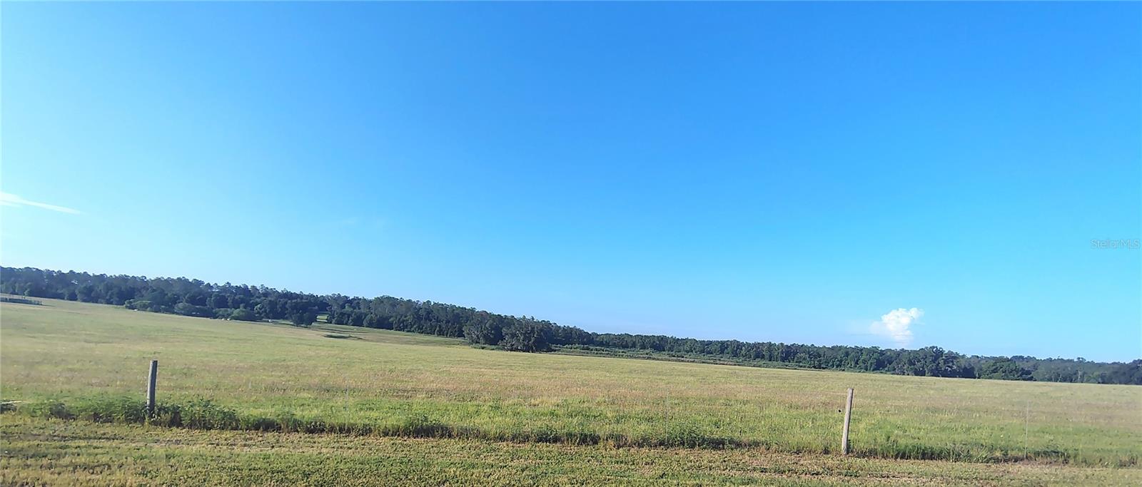 Covington Rd Property Photo 8