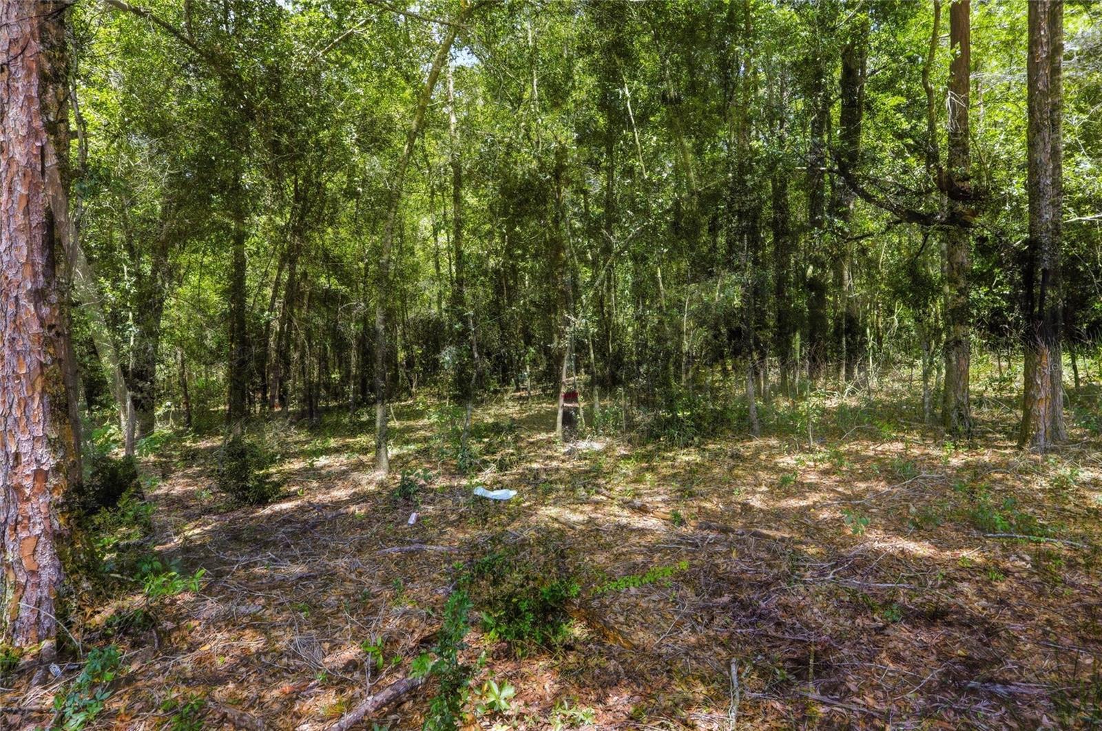 Centennial Rd Property Photo 5