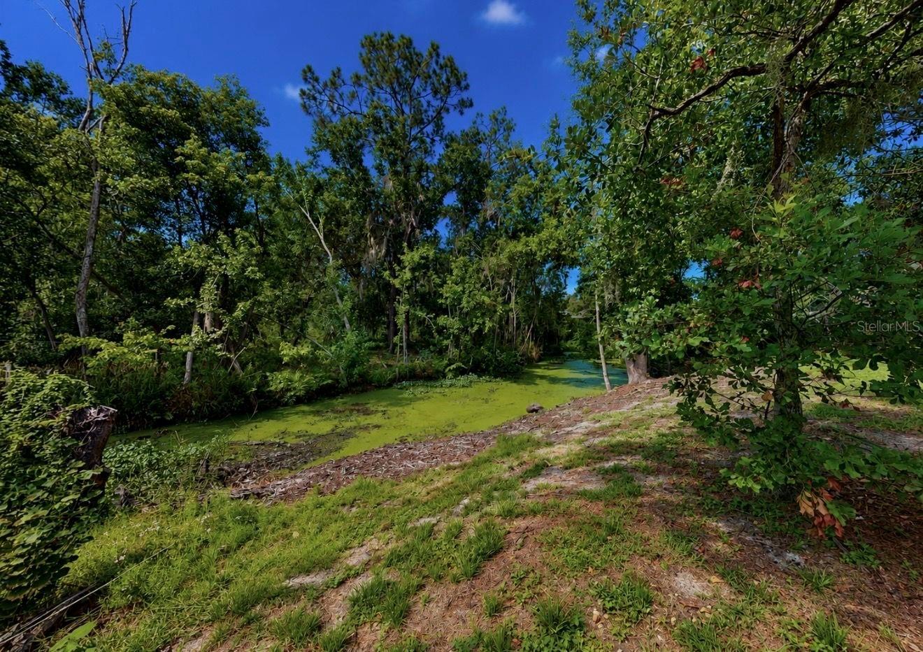 1005 Highgrove Ct Property Photo 29