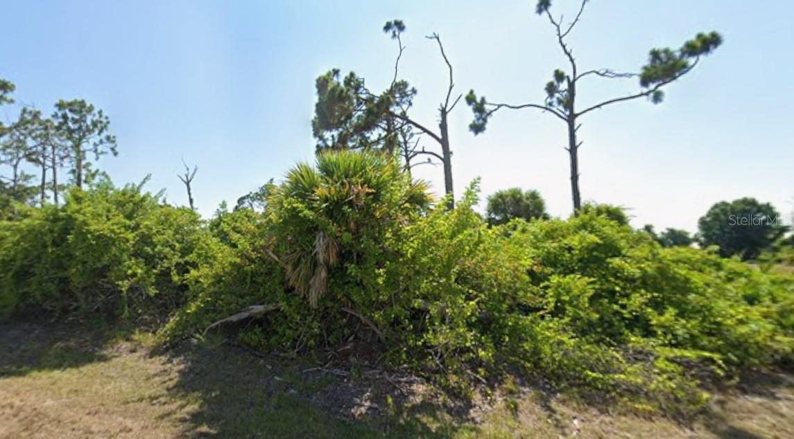 145 Green Pine Park Property Photo 3