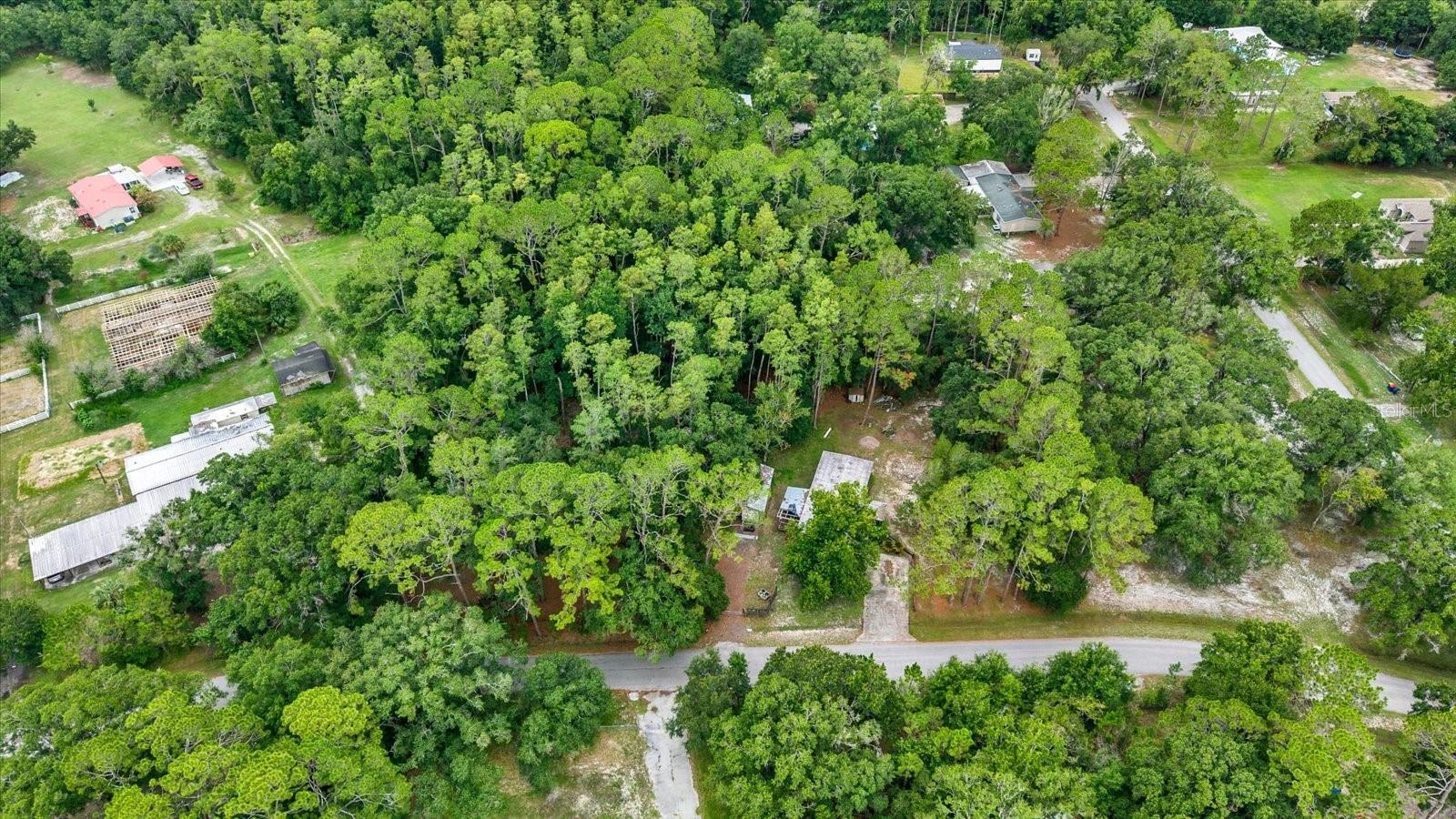 6947 Angus Valley Dr Property Photo 2
