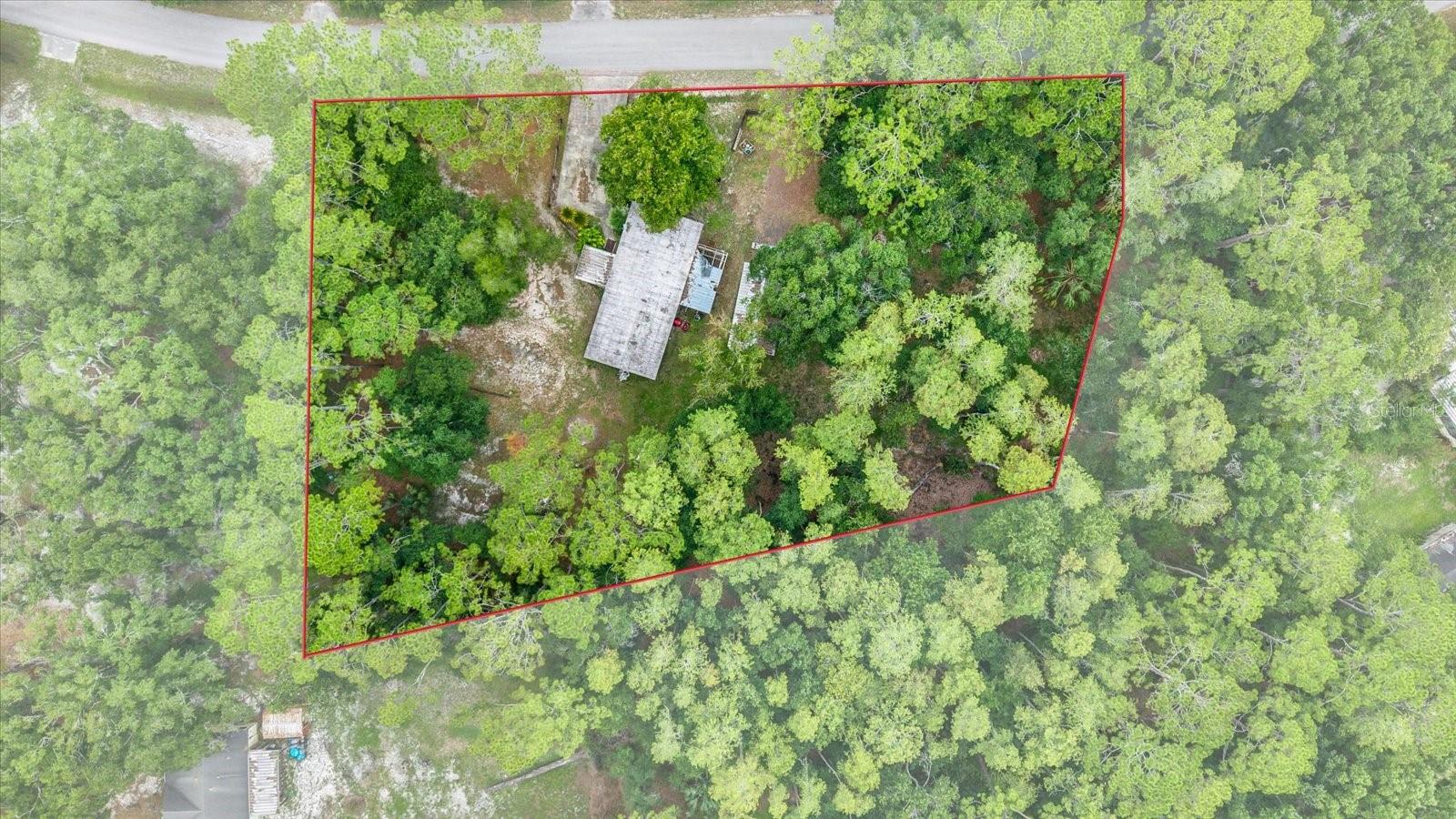 6947 Angus Valley Dr Property Photo 4