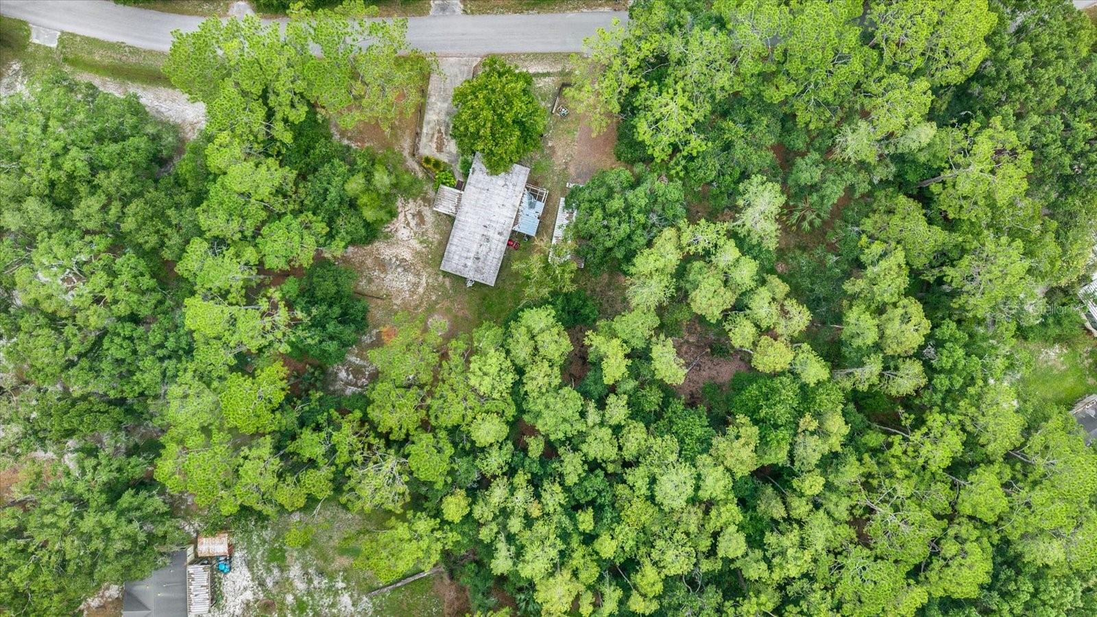 6947 Angus Valley Dr Property Photo 5