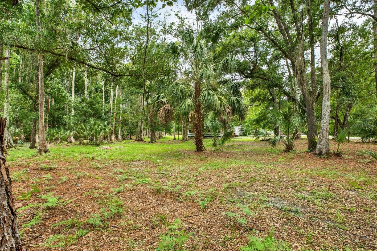 6947 Angus Valley Dr Property Photo 10