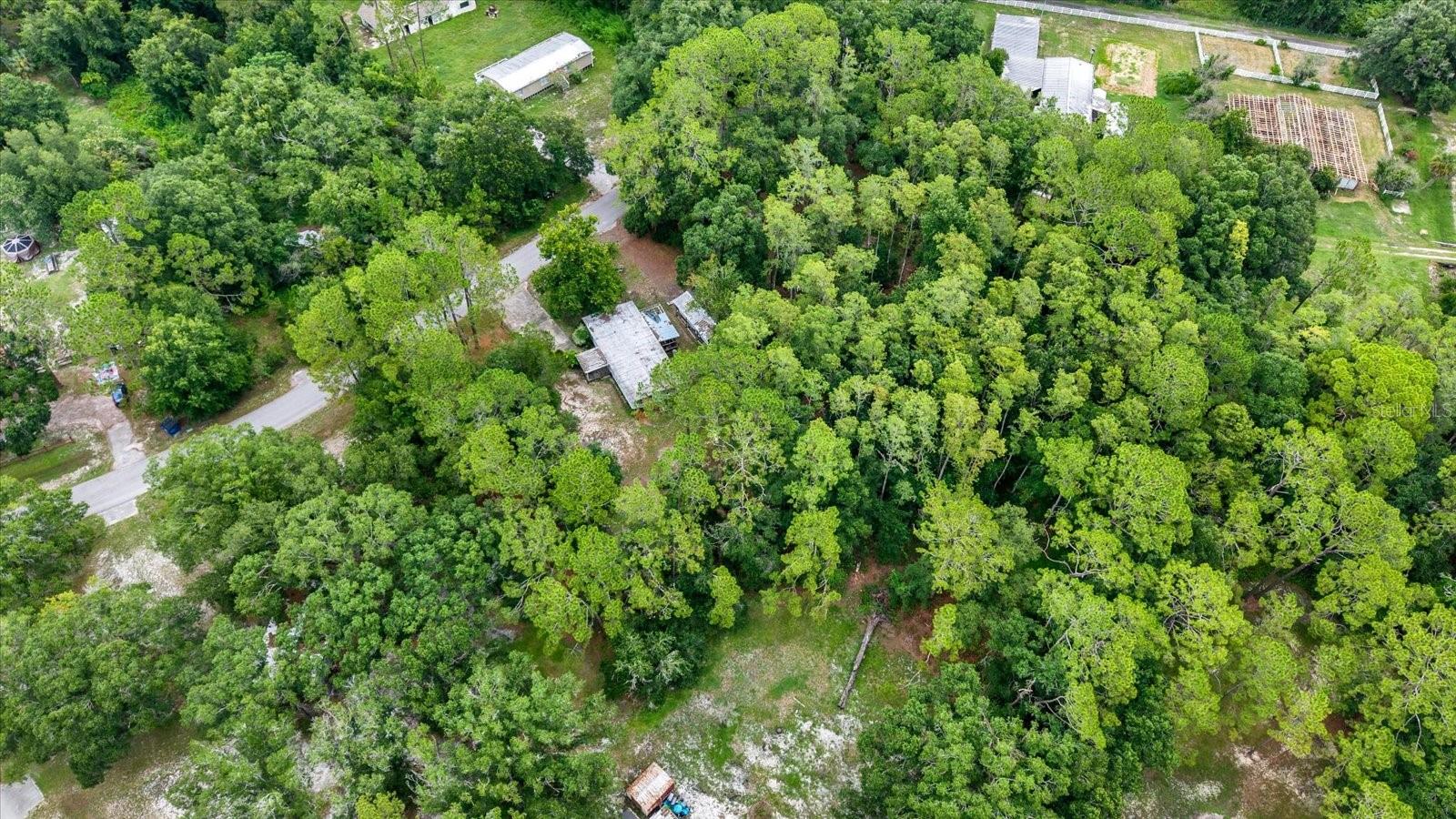 6947 Angus Valley Dr Property Photo 17