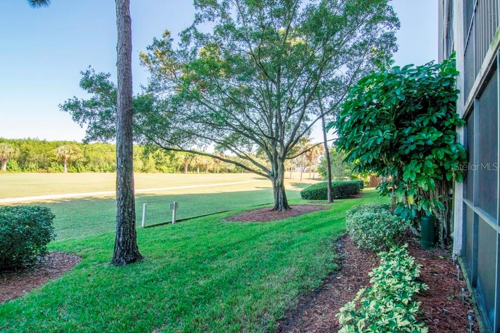 3300 Cove Cay Dr #1c Property Photo 1