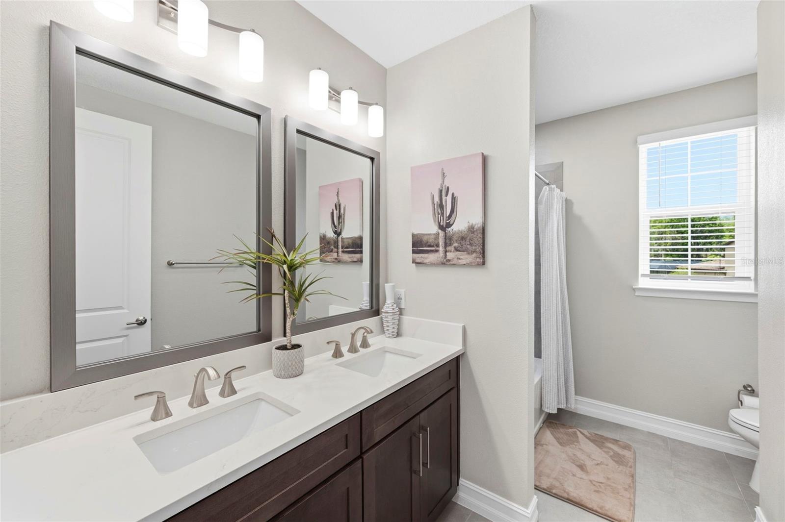 4441 Albero Pl Property Photo 48