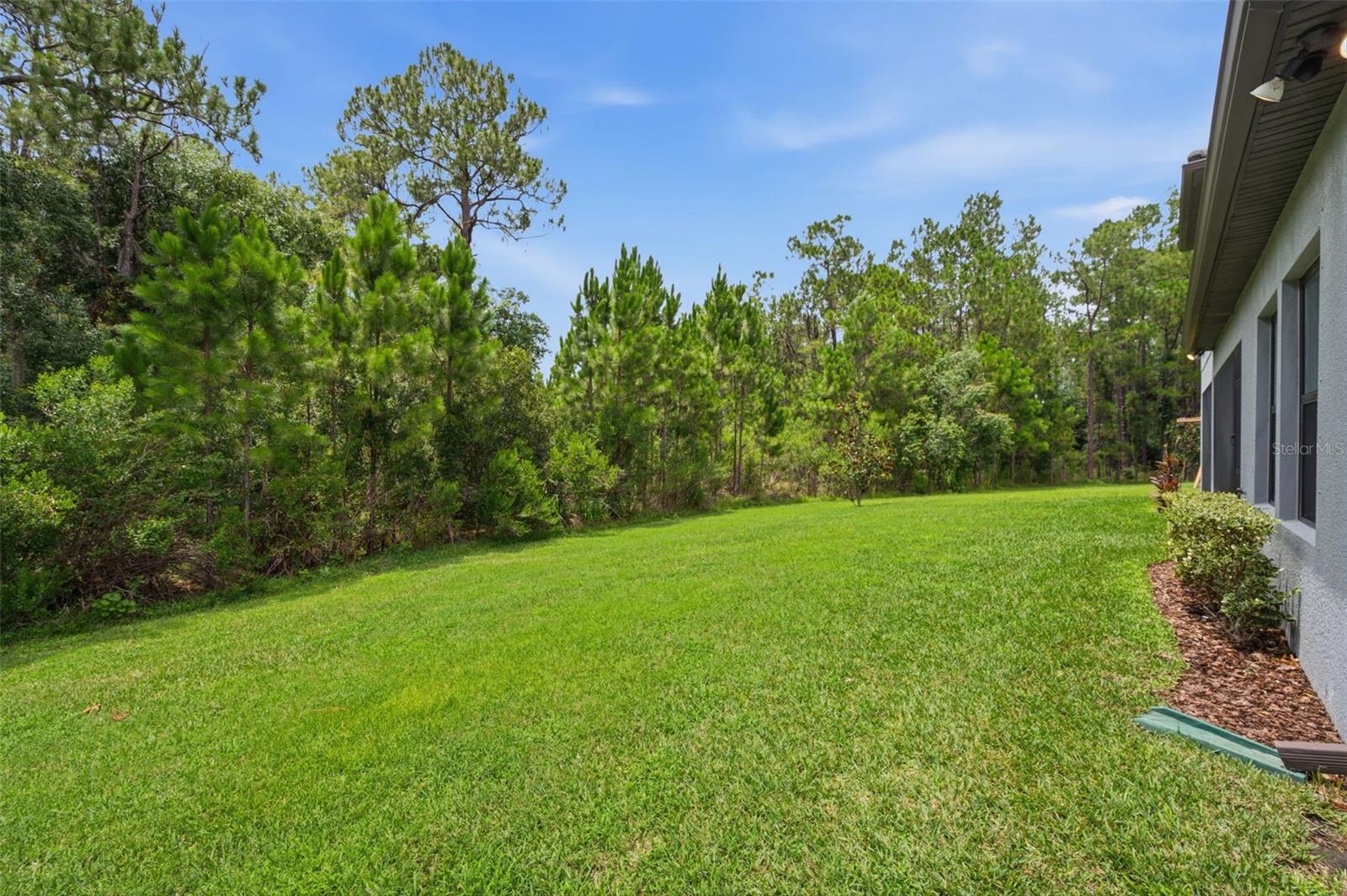 4441 Albero Pl Property Photo 58