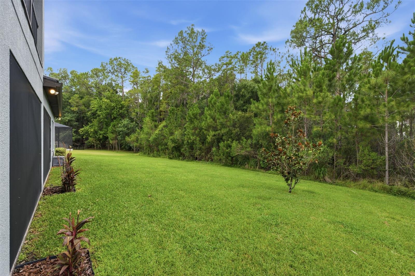 4441 Albero Pl Property Photo 60