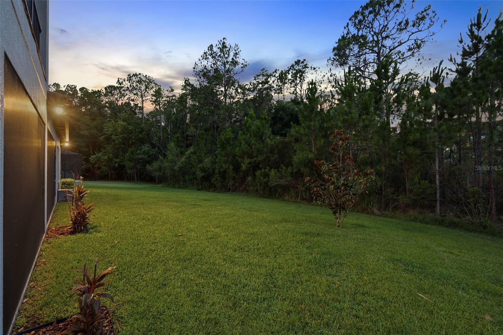 4441 Albero Pl Property Photo 64