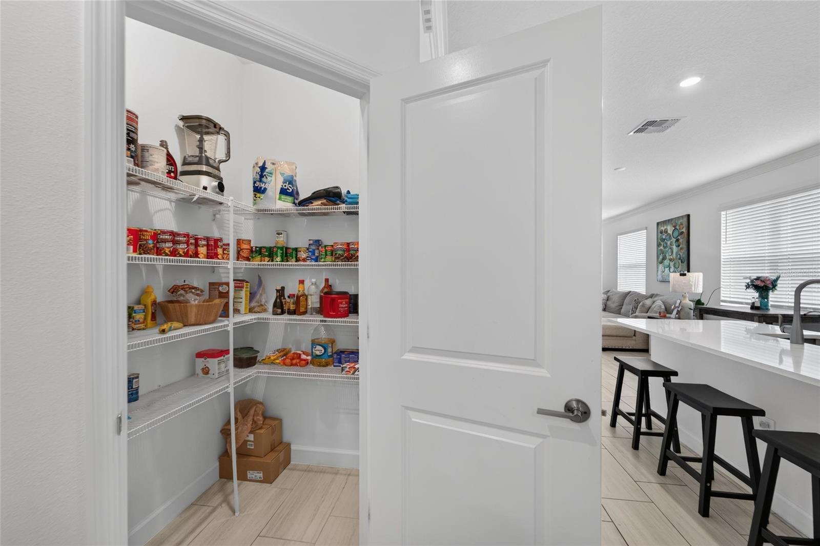 12569 Lily Quartz Loop Property Photo 19