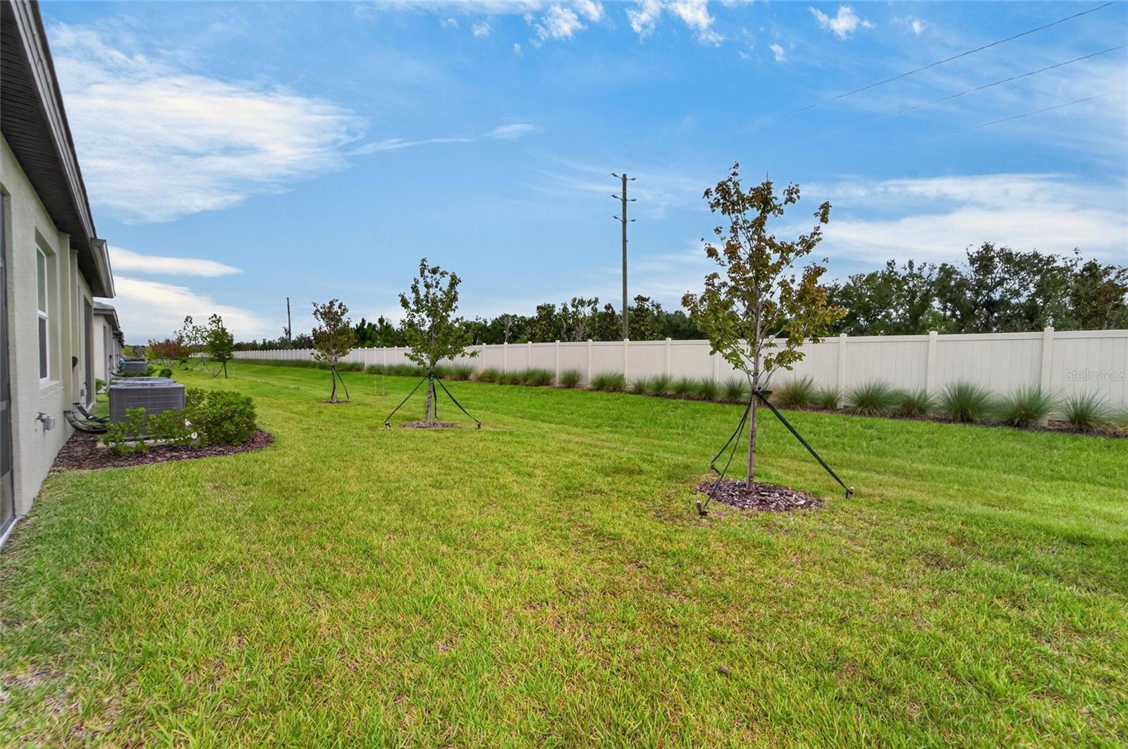 12569 Lily Quartz Loop Property Photo 38