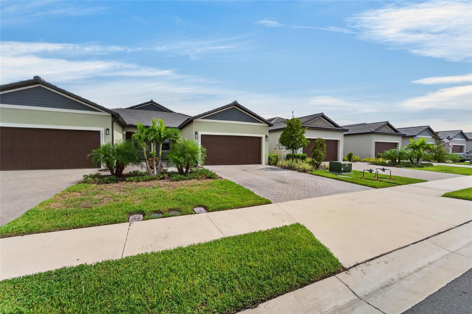 12569 Lily Quartz Loop Property Photo 41