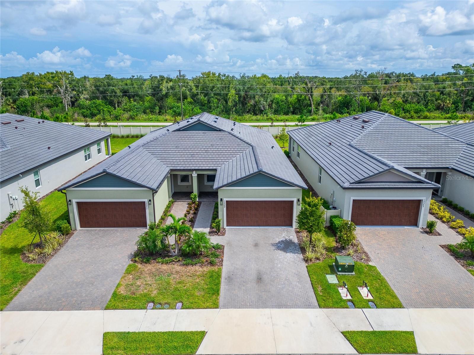 12569 Lily Quartz Loop Property Photo 45