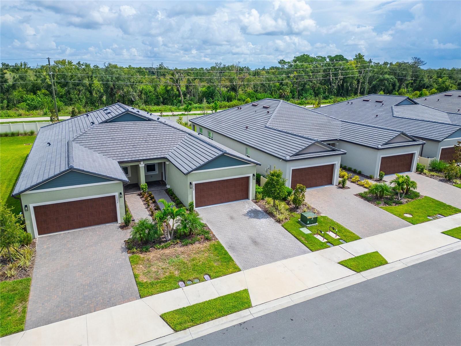 12569 Lily Quartz Loop Property Photo 46