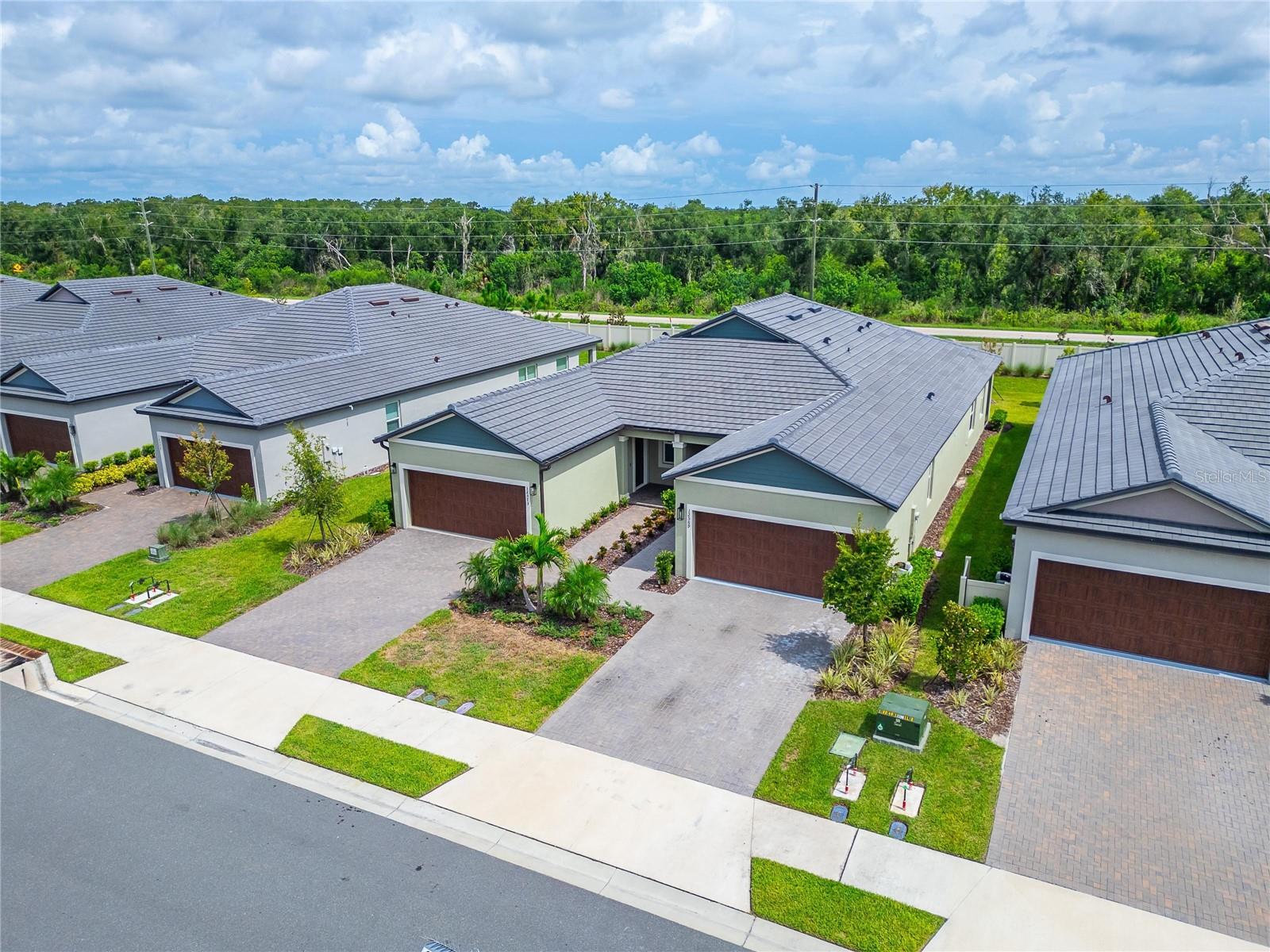 12569 Lily Quartz Loop Property Photo 66