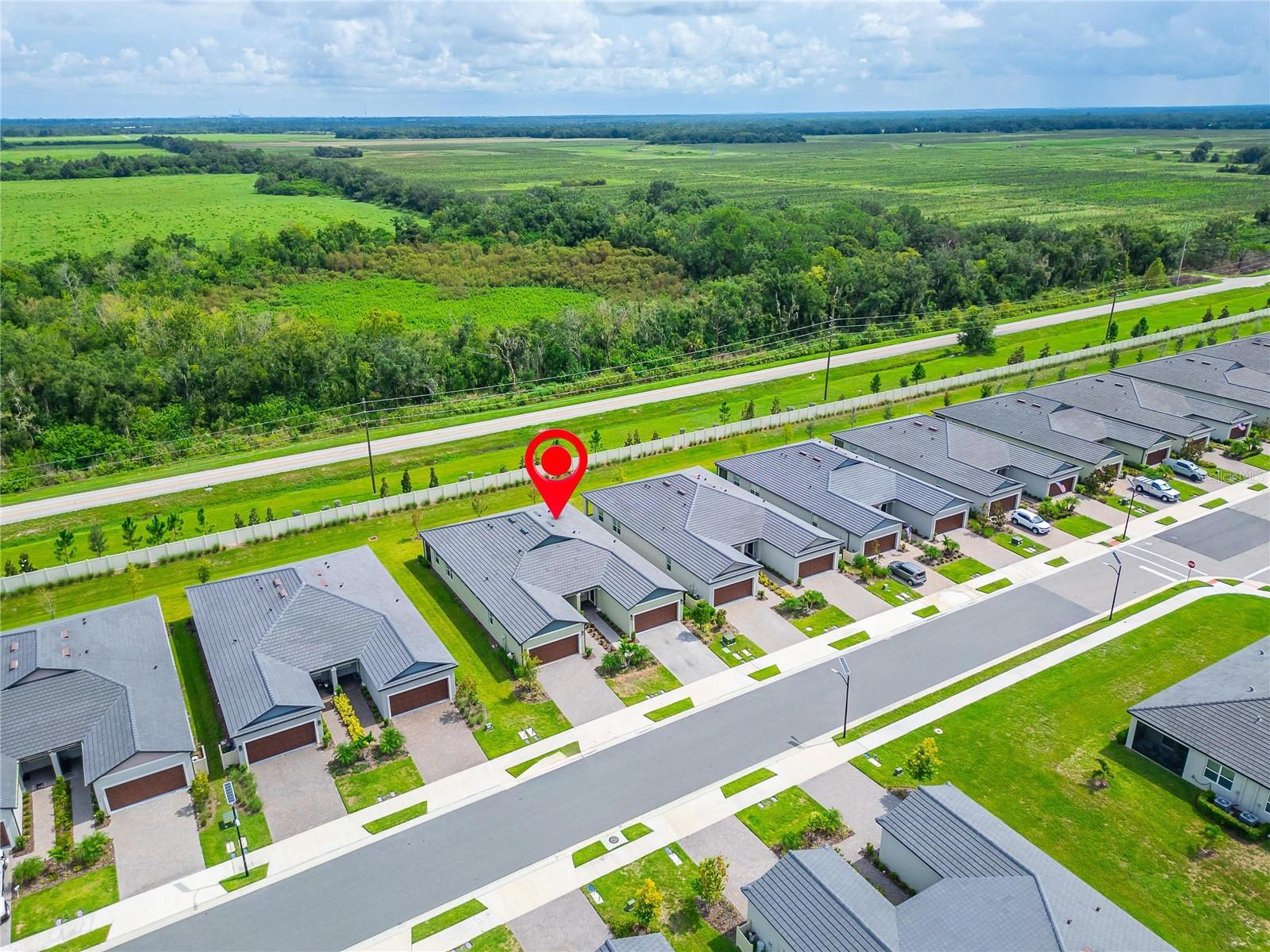 12569 Lily Quartz Loop Property Photo 68