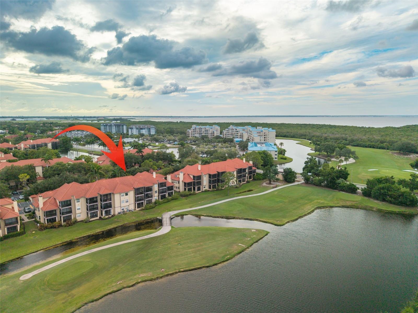2400 Feather Sound Dr #914 Property Photo 4