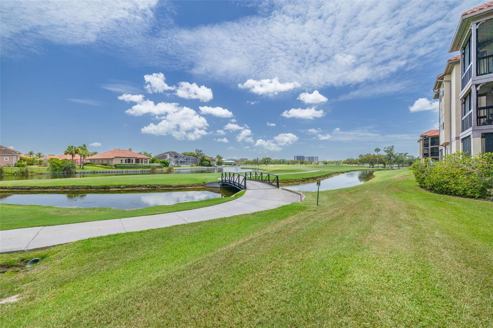 2400 Feather Sound Dr #914 Property Photo 31