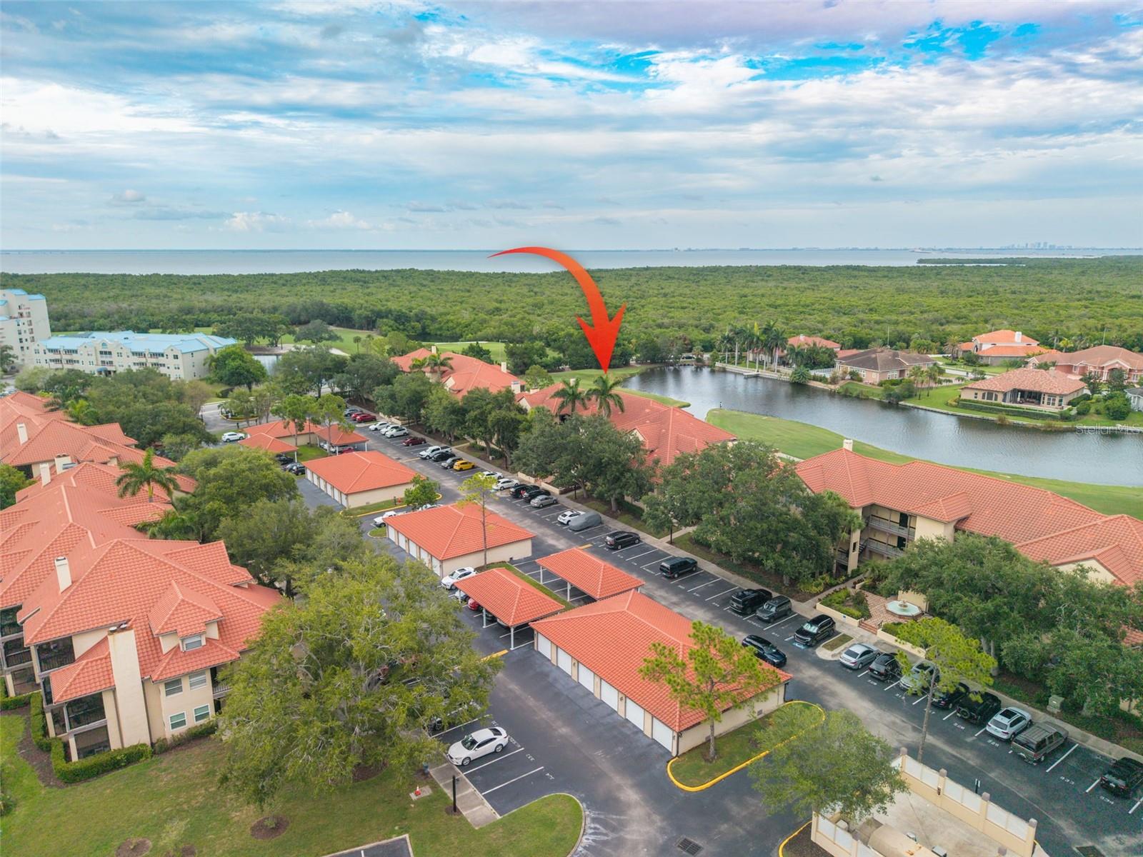 2400 Feather Sound Dr #914 Property Photo 33