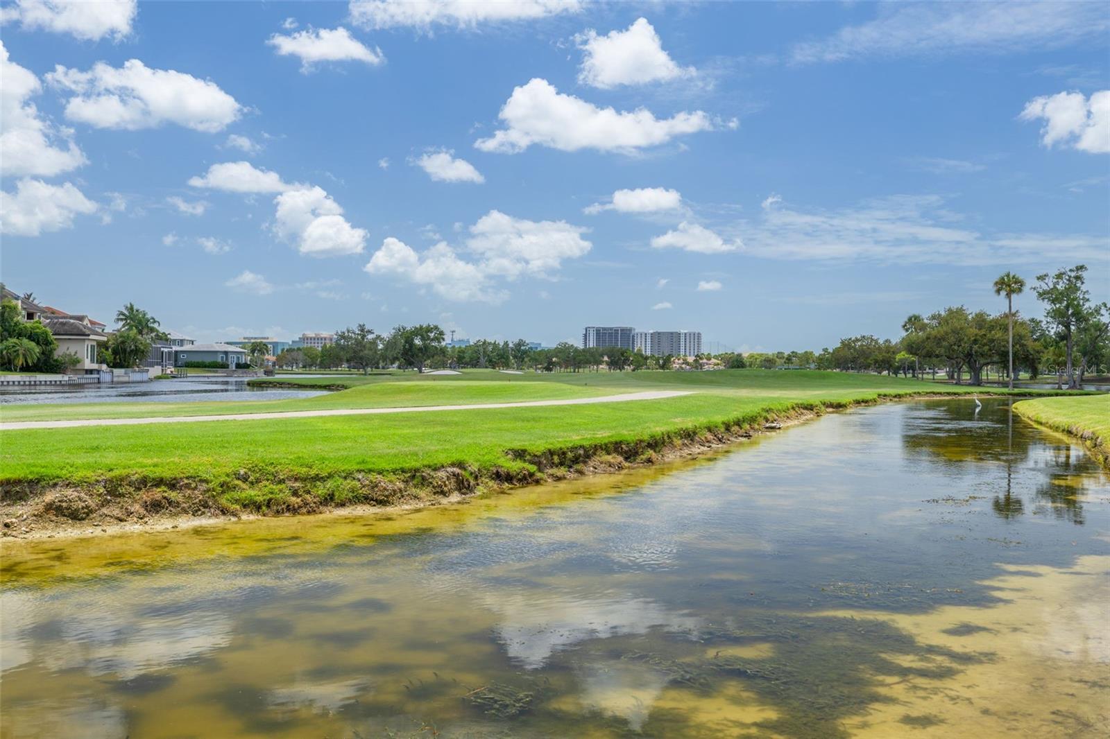 2400 Feather Sound Dr #914 Property Photo 36
