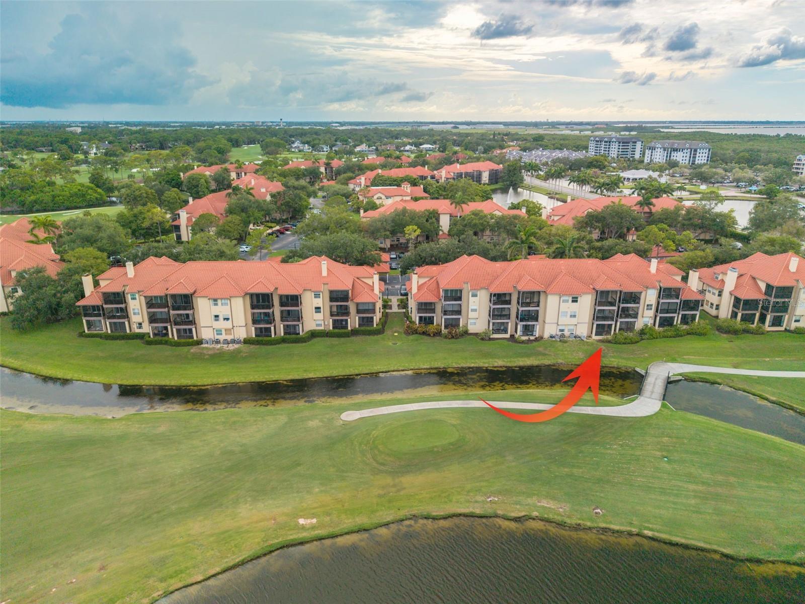 2400 Feather Sound Dr #914 Property Photo 49
