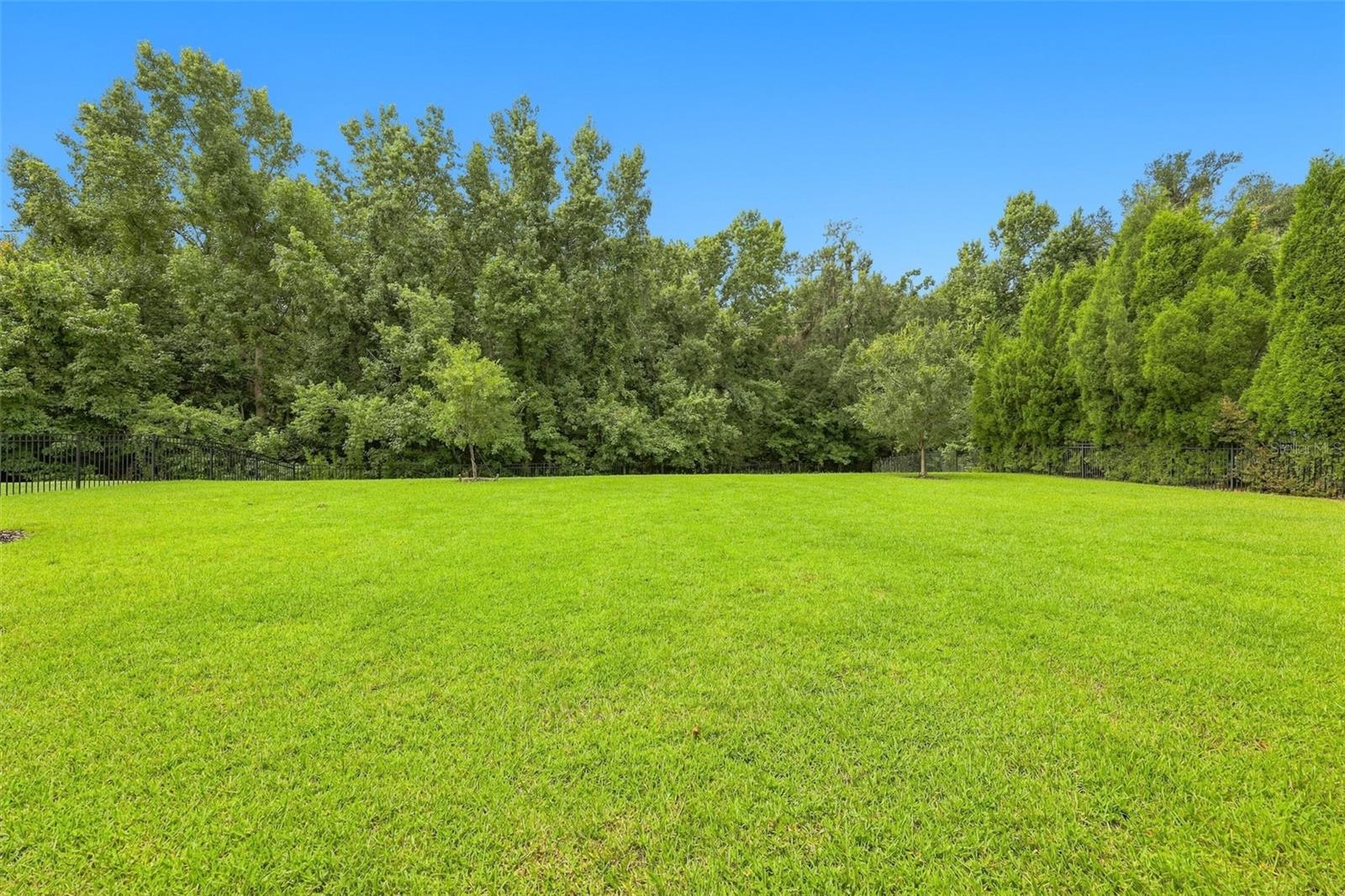3225 Cordoba Ranch Blvd Property Photo 60