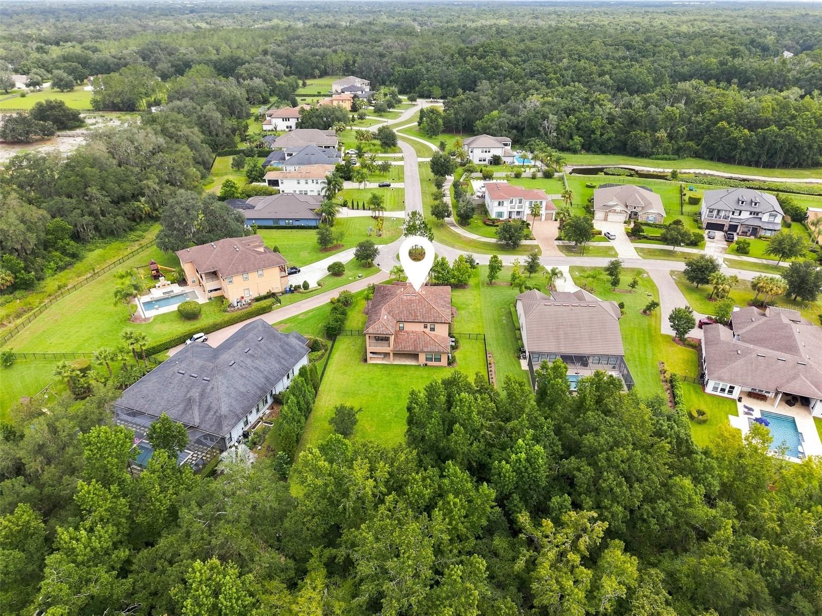 3225 Cordoba Ranch Blvd Property Photo 71