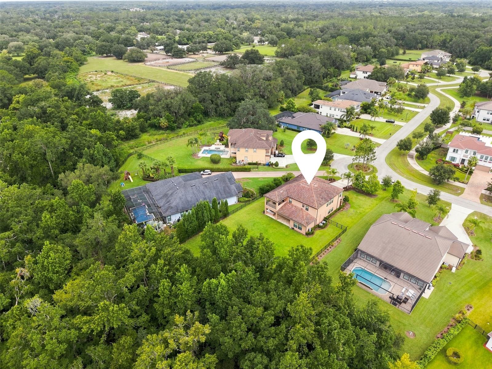 3225 Cordoba Ranch Blvd Property Photo 72