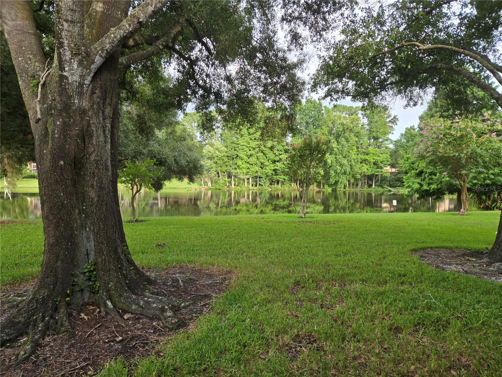 11805 Skylake Pl #c Property Photo 2